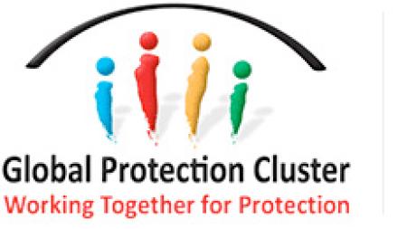 Child Protection Sub-Cluster 
