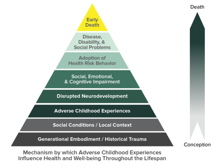 A pyramid graph of mechanism by which ACEs influence health and well-being throughout the lifespan